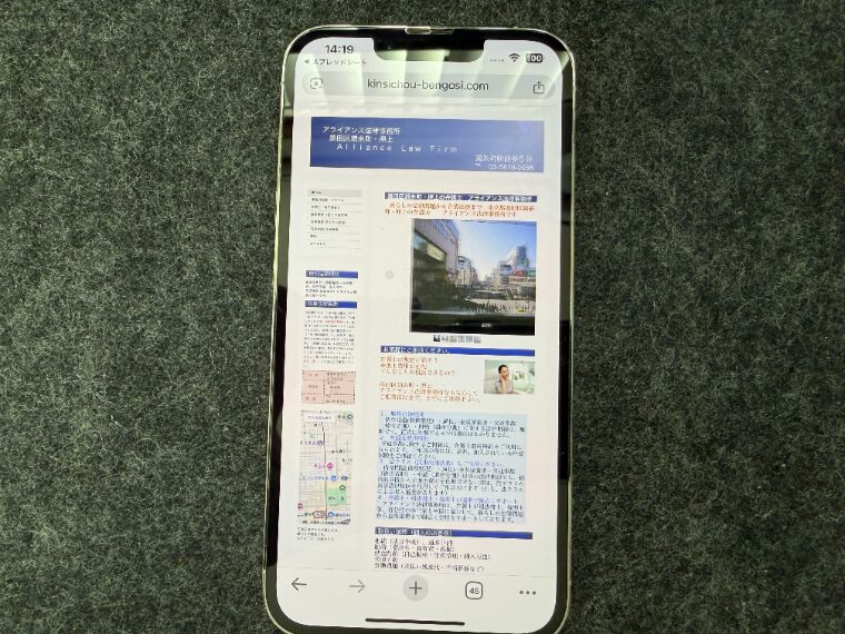 アライアンス法律事務所の概要