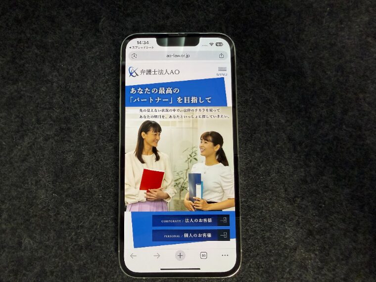 弁護士法人AOの概要