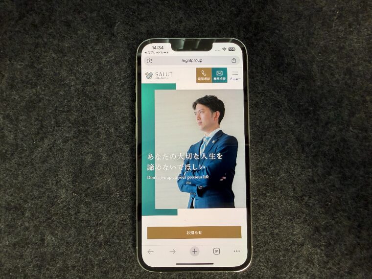 弁護士法人サリュの概要