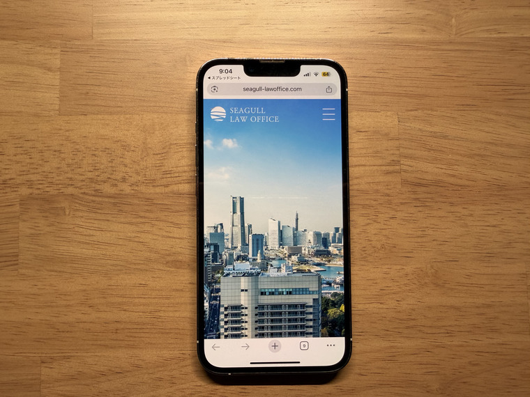 シーガル総合法律事務所の概要