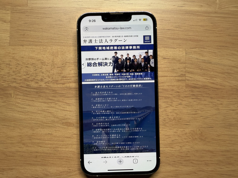 弁護士法人ラグーンの概要
